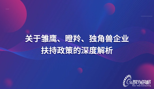 關(guān)于雛鷹、瞪羚、獨(dú)角獸企業(yè)扶持政策的深度解析.jpg