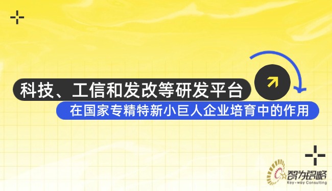 科技、工信和發(fā)改等研發(fā)平臺在國家專精特新小巨人企業(yè)培育中的作用.jpg