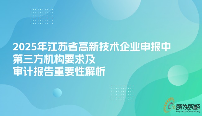 2025年江蘇省高新技術企業(yè)申報中*三方機構要求及審計報告重要性解析.jpg