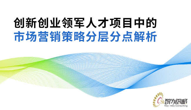 創(chuàng)新創(chuàng)業(yè)領(lǐng)軍人才項(xiàng)目中的市場(chǎng)營(yíng)銷策略分層分點(diǎn)解析.png