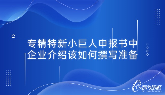 專精特新小巨人申報(bào)書(shū)中的企業(yè)介紹該如何撰寫(xiě)準(zhǔn)備.jpg