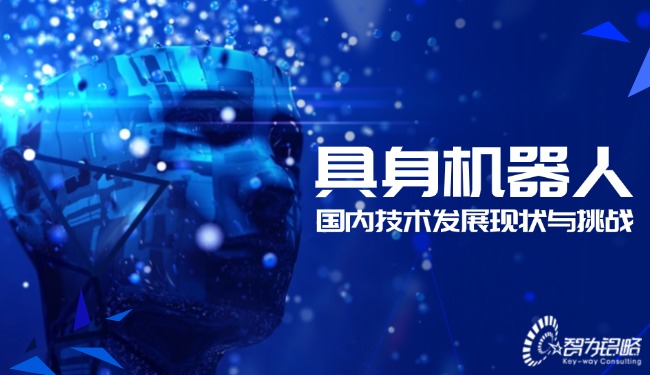 具身機(jī)器人國(guó)內(nèi)技術(shù)發(fā)展現(xiàn)狀與挑戰(zhàn)