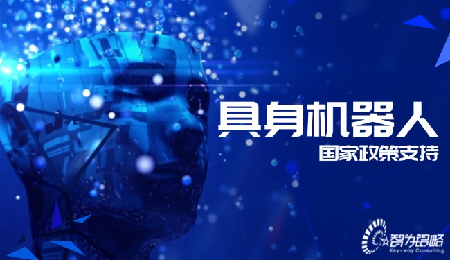 具身機(jī)器人國(guó)家政策支持
